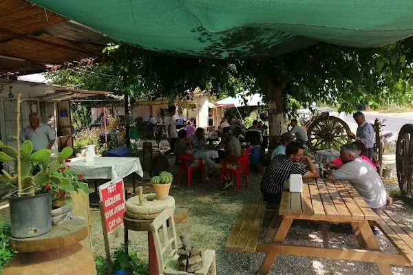 Dut Altı Köy Usulü Restaurant - Resim 2