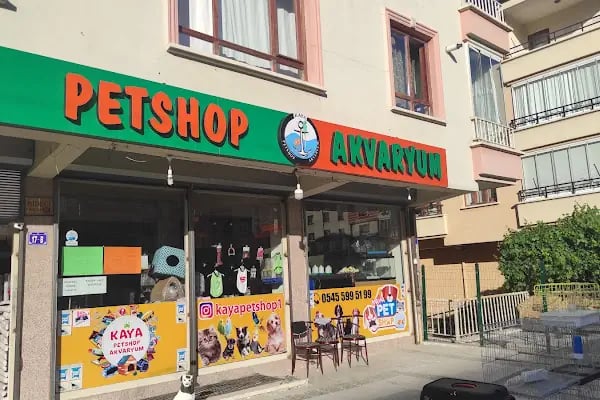 Kaya Akvaryum Petshop - Resim 9