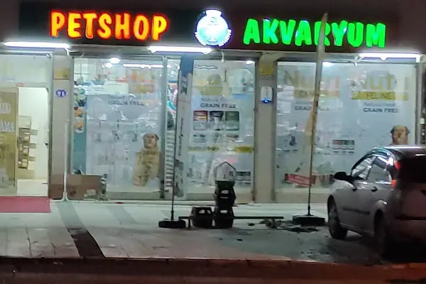 Kaya Akvaryum Petshop - Resim 16