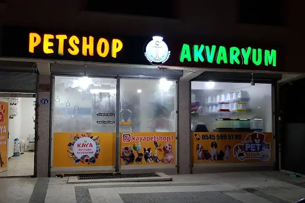 Kaya Akvaryum Petshop - Resim 19