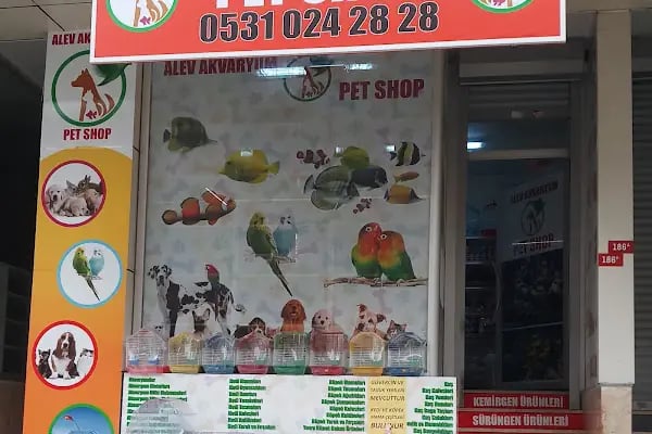 Selçuk çiçekçi &amp; Petshop - Resim 5