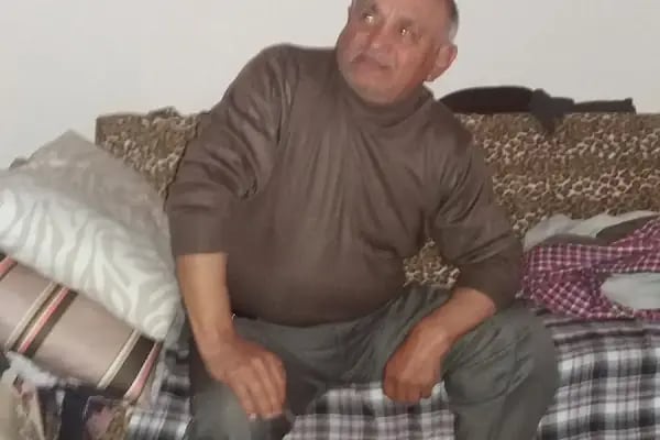 Gemlik Katırlı Köyü Kalkınma Koop.Zeytinleri - Resim 3