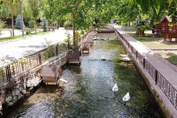 Suçıktı Mesire Alanı - Resim 7