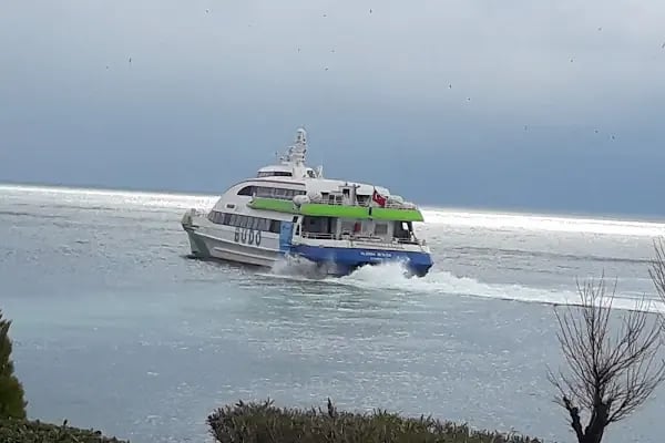 İDO Armutlu Tatil Köyü - Deniz Otobüsü İskelesi - Resim 17