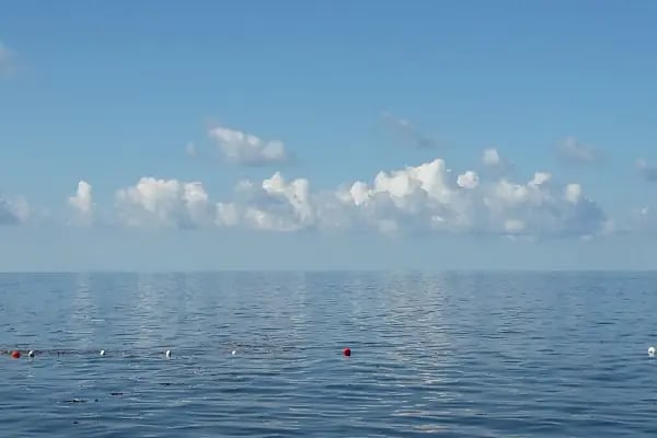 Albatros Plajı - Resim 5