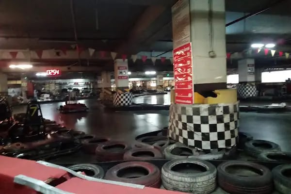 Antares Go-Kart - Resim 2