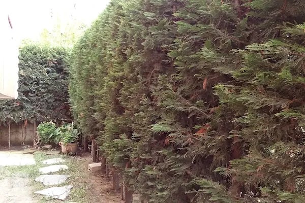 Muhsin Yazıcıoğlu Parkı - Resim 2