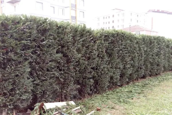 Muhsin Yazıcıoğlu Parkı - Resim 9