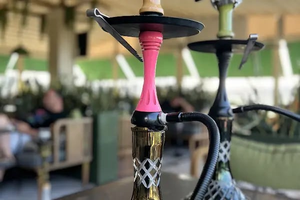 Misi mimoza cafe &amp; restoran - Resim 17