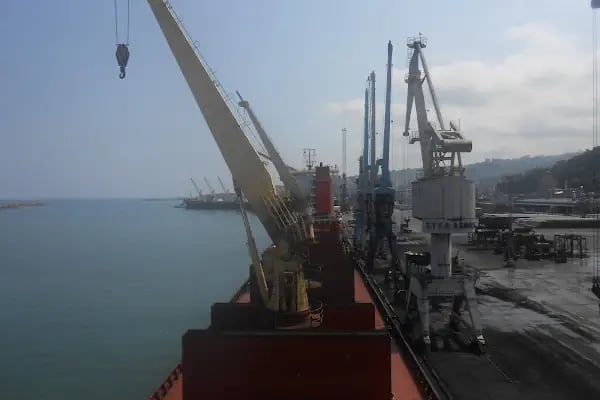 TrabzonPort - Resim 7