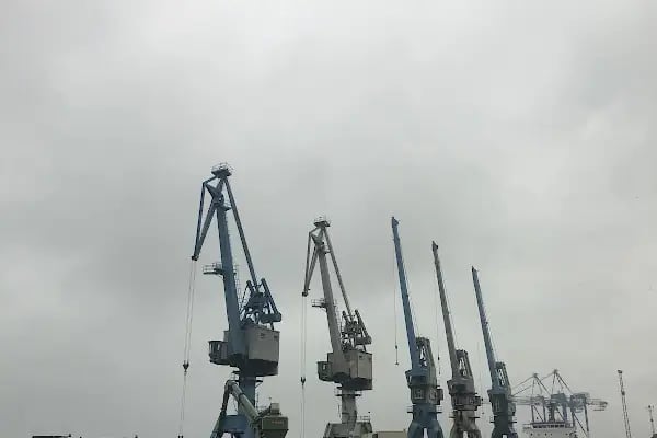 TrabzonPort - Resim 18