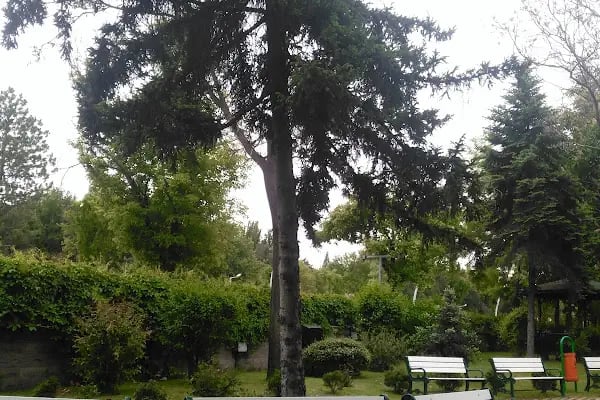 Tapu ve Kadastro Genel Müdürlüğü - Resim 16