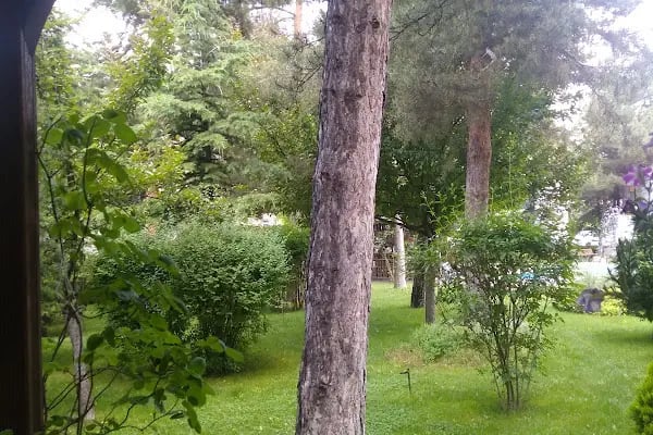 Tapu ve Kadastro Genel Müdürlüğü - Resim 3