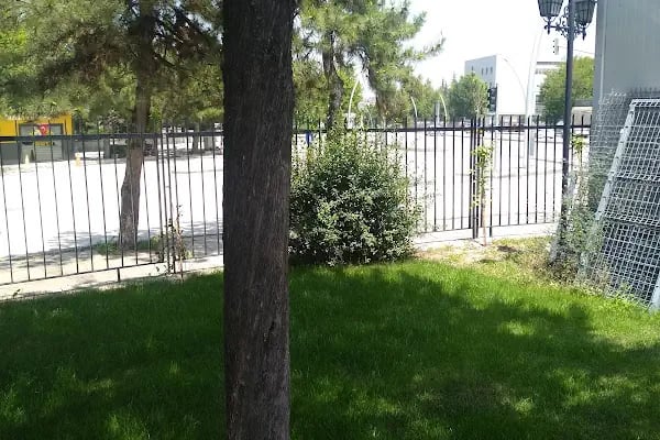 Tapu ve Kadastro Genel Müdürlüğü - Resim 19