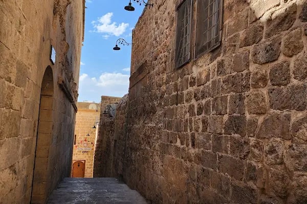 T.C. Mardin Artuklu Üniversitesi - Resim 10