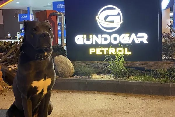 Gündoğar Petrol Opet - Resim 7
