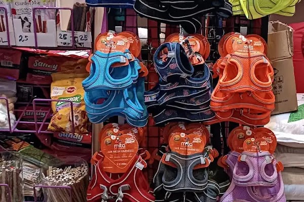 Gümüşpala Petshop Avcılar istanbul - Resim 12