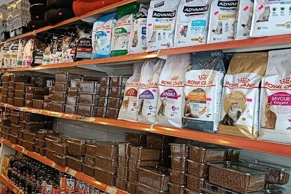 Gümüşpala Petshop Avcılar istanbul - Resim 5