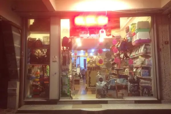 Gümüşpala Petshop Avcılar istanbul - Resim 2