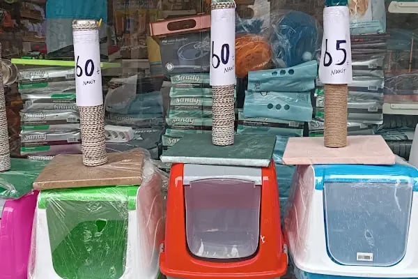 Gümüşpala Petshop Avcılar istanbul - Resim 13