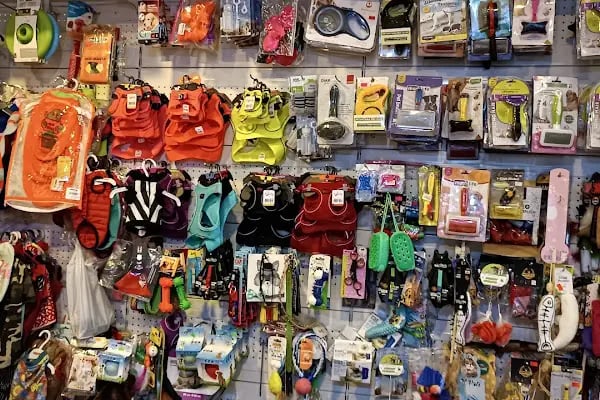 Gümüşpala Petshop Avcılar istanbul - Resim 3