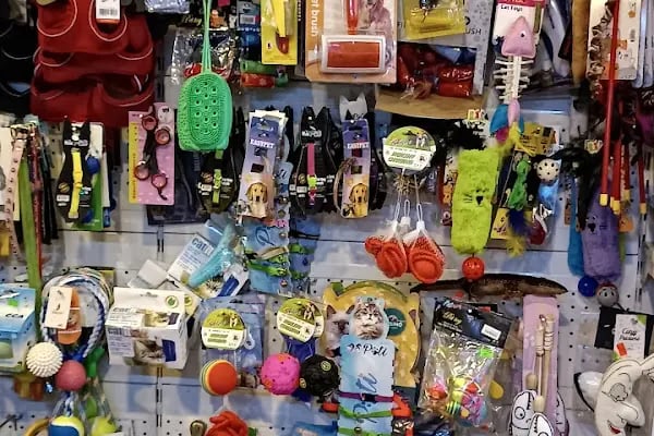 Gümüşpala Petshop Avcılar istanbul - Resim 9