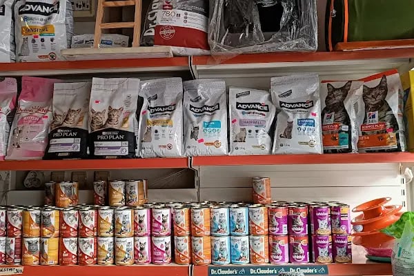 Gümüşpala Petshop Avcılar istanbul - Resim 11
