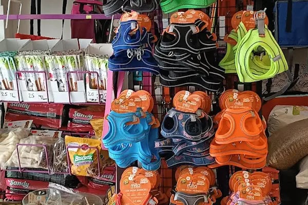 Gümüşpala Petshop Avcılar istanbul - Resim 6
