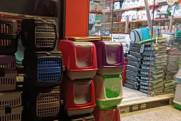 Gümüşpala Petshop Avcılar istanbul - Resim 19