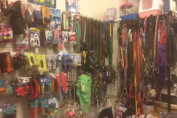 Gümüşpala Petshop Avcılar istanbul - Resim 17