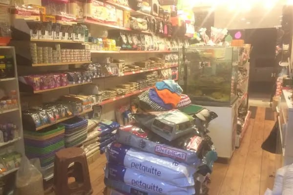 Gümüşpala Petshop Avcılar istanbul - Resim 8