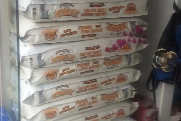 Gümüşpala Petshop Avcılar istanbul - Resim 10