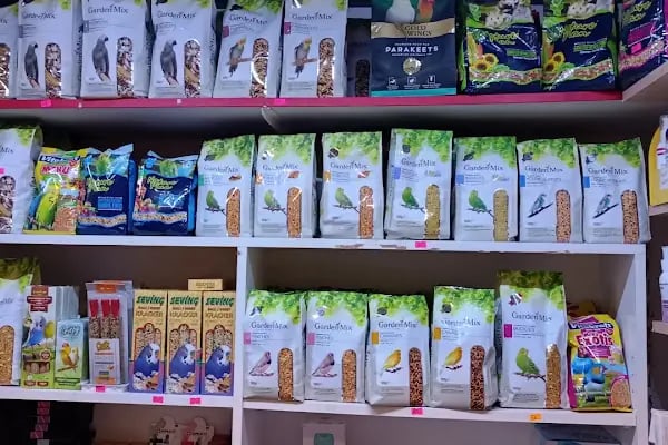 Gümüşpala Petshop Avcılar istanbul - Resim 14