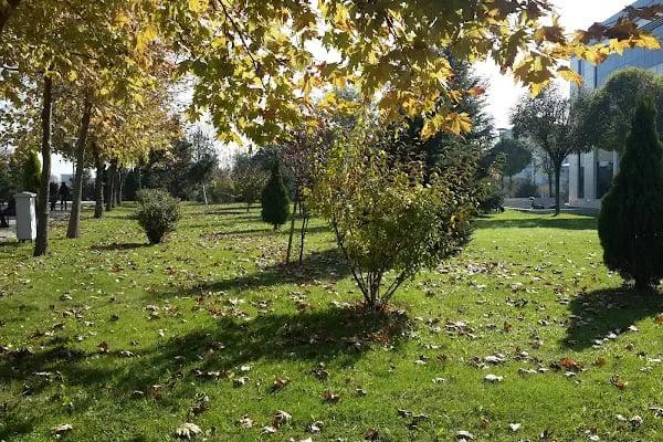 Sakarya Üniversitesi İletişim Fakültesi - Resim 8