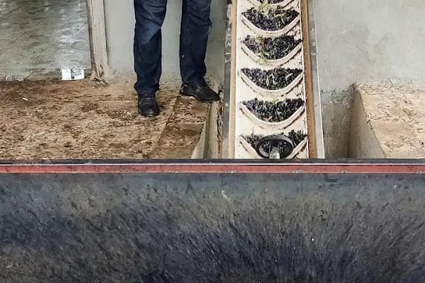 ismetoğlu Zeytinyağı ve Fıstık Kavlatma Tesisi - Resim 3