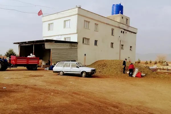 ismetoğlu Zeytinyağı ve Fıstık Kavlatma Tesisi - Resim 4