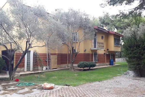 PAPATYA TEMIZLIK HIZMETLERI - Resim 5