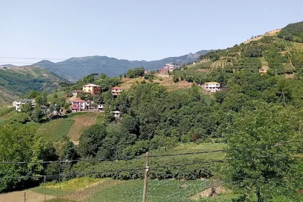 Bozdoğan Köyü Cami - Resim 3