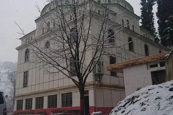 Bozdoğan Köyü Cami - Resim 4