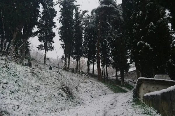 Bozdoğan Köyü Cami - Resim 5