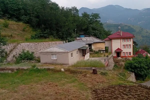 Bozdoğan Köyü Cami - Resim 2