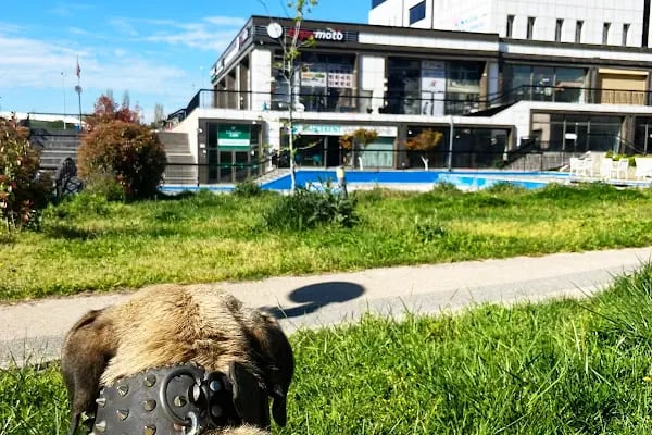 Bahçekent Veteriner Kliniği - Resim 9