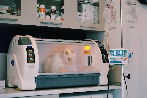 Bahçekent Veteriner Kliniği - Resim 17
