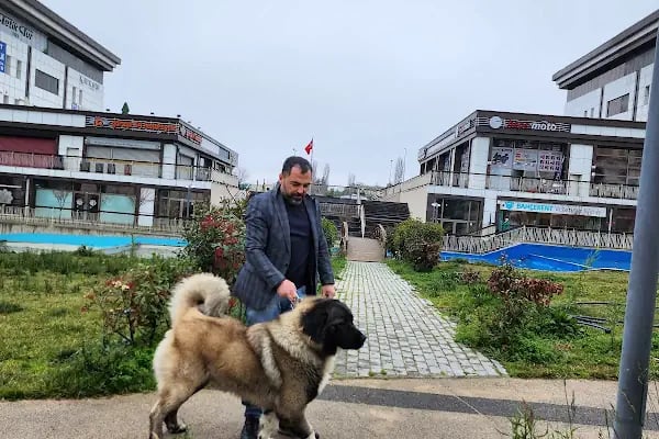 Bahçekent Veteriner Kliniği - Resim 13