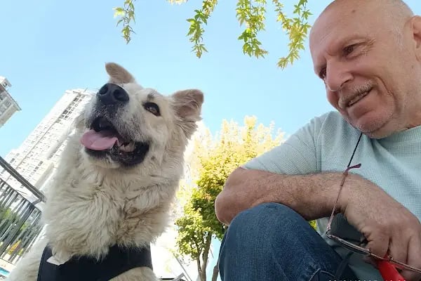 Bahçekent Veteriner Kliniği - Resim 19