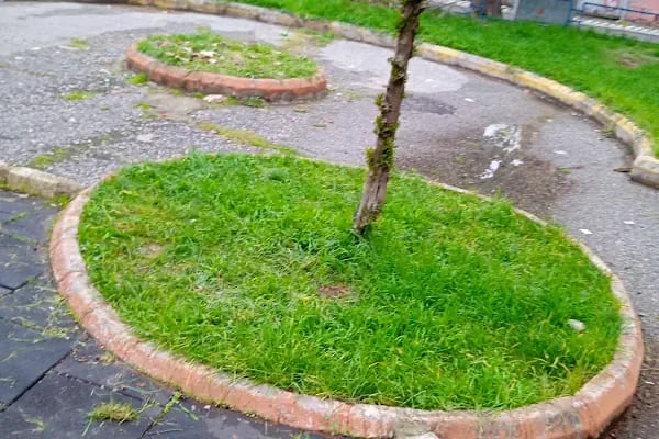 Selahattin Şimşek Çocuk Parkı - Resim 9