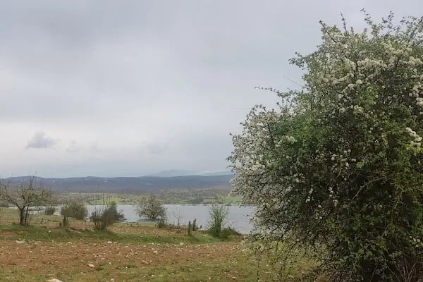 Kelebek barajı - Resim 3