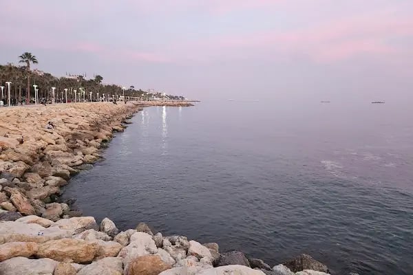 Barış Meydanı - Resim 3