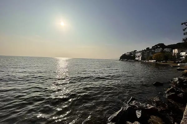 Büyük Kumla Parkı - Resim 4
