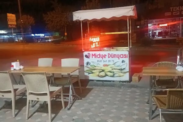 Şırdancı Bekir - Resim 2